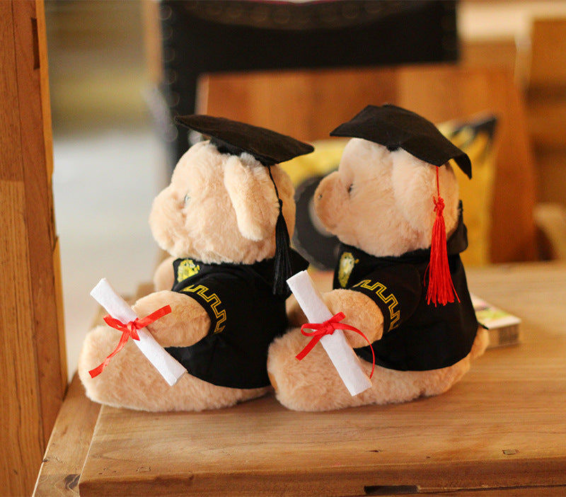 Graduated Doctor Bear 06
